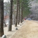 차이한 이미지