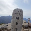 4/5(금) 대구 비슬산 진달래 산행 이미지