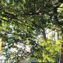 와인 인문학 이미지