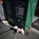 강아지 묽은변 유산균 먹이면서 관리한 후기 (+ 변화)