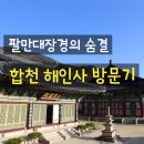 해인사 | 서울에서 멀지만 경남 합천에 꼭 가볼 만한 곳, 해인사 방문 후기