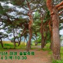 솔밭 이미지