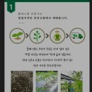 블레스팜 이미지