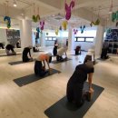 카이로스 필라테스 이미지