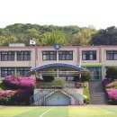 개곡초병설유치원 이미지