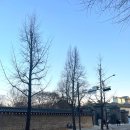 대림4길 6-1, (문화동) | [서촌/경복궁역] 예약x 대림미술관 무료전시 데이트 | 테일러커피 후기 . 가볼만한 곳 추천 / 사진전...