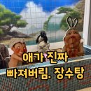 장수탕자판기 | 장수탕 선녀님 뮤지컬 후기｜아이도 푹 빠진 공연 + 서울어린이대공원 아트센터 주차·가는길 총정리