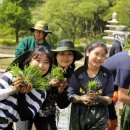 김용식농장 이미지