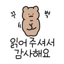 로히펫살롱 이미지