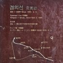 철길건널목 ~ 신촌삼거리 | 공덕 경의선숲길의 가을 풍경, 단풍이 들고 가을이 깊어간다.