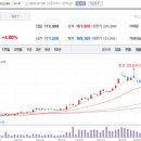 엘엠에스스테이블