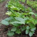 방우농장 이미지