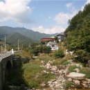 소담하게