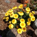 증산민박 이미지