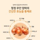 위드앤푸드 &#34;다시맛난과채 맛있는 양파팡팡주스&#34;