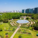 고양국제꽃박람회 2025 이미지