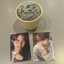 마마센트 | 앨범깡하고 부산가고 서울가요제가고 청킹마마가고 생파하고 향수만들고 라부부깡하는 9월 둘째주 일상...