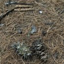 서리산농장 이미지