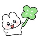 스테이 루나 이미지