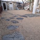 청도강변돌고래펜션 이미지