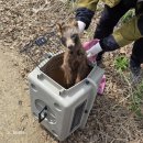 전남야생동물구조관리센터 | 야생의 너굴맨 구조완료(feat. 충남야생생물 구조센터)