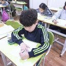 푸치토야 이미지