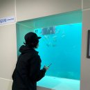 천부오토바이