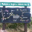 화심천 이미지