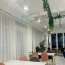 플로티에가든 | [제주] 제주 월정 카페, 제주도 오션뷰 카페 "플로티에가든"