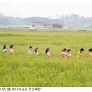 군산문창초등학교 이미지