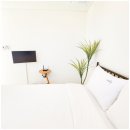 구름이 노는 바다 제주 풀빌라 감성숙소 이미지