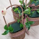 기장초등학교 이미지