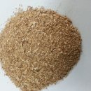 주식회사디브레인스 이미지