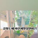 탑재611