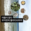 거여새마을경로당 | 여름이 왔다 샤따올리고 부지런히 돌아다녀야지. 무슈뱅상 오픈런 후기 및 광안리 일대 돌기