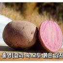그린종묘농약사
