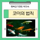 (주)코이 이미지