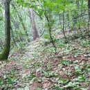 나무여행 이미지