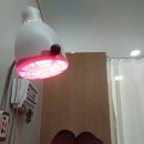 경희대범한의원 이미지