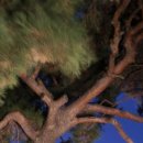 빗접바위 이미지