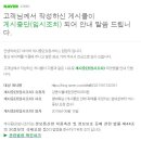 강동서울대항장문외과의원 이미지