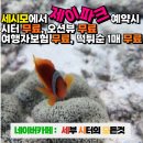 제이파크