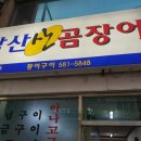 살아있네산곰장어 이미지