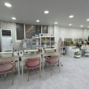 닥터페디 노원점 이미지