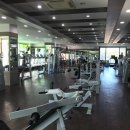 월드피아 헬스 이미지