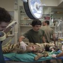 엘동물병원 이미지