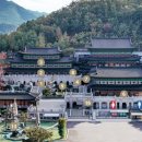 미인목장 이미지