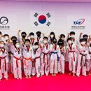 경희대 참 태권도 이미지