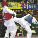 강진태권도체육관 이미지