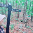 하룻밤궁궐터 | 블백 54. 도락산(들머리.하룻밤궁궐터)